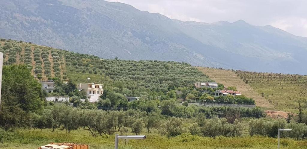 Sea Side Radhime Apartament Wlora